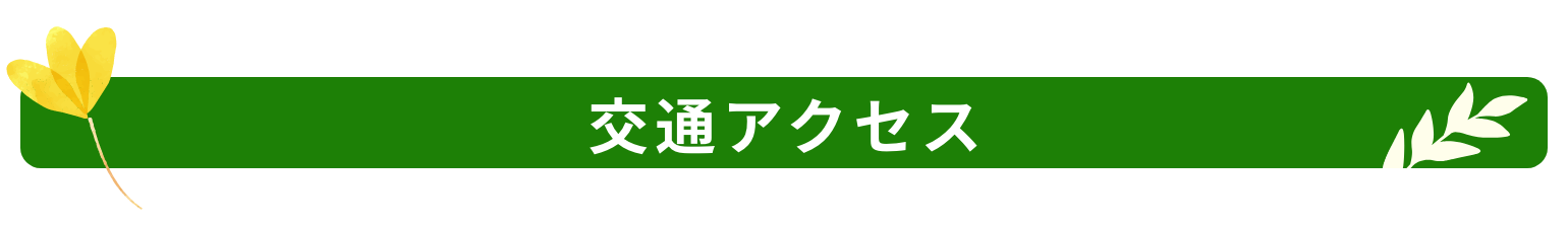 アクセス