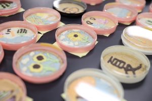 第5回夏のオープンキャンパスを開催しました!